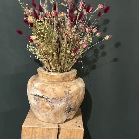 Haven ניופורט